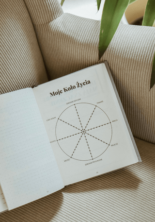 SFERA ŻYCIA - Dziennik Autorefleksji dla mężczyzn - szary